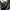 ZARA Luxury Evening dress Wanita black photo 4