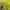 Nike Vintage Y2K T-shirt Pria yellow photo 6