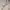Polo Ralph Lauren Vintage Casual Cardigan Pria gray photo 3