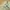 Ben Davis Streetwear Y2K Fleece Pria cream photo 3