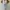 Luxury Minimalist Pencil skirt Wanita white blue photo 1