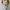Luxury Minimalist Pencil skirt Wanita white blue photo 4