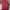 Nike Casual Sneakers Pria red black photo 8