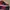Nike Casual Sneakers Pria red black photo 1