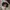 Diesel Vintage Y2K Hat Pria red black photo 3
