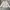 Nike Vintage Fleece Pria white photo 1