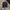 Vintage Y2K Hat Pria navy photo 1