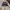 Vintage Y2K Hat Pria navy photo 2