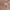 Carhartt Streetwear Casual T-shirt Pria brown photo 2