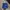 Alien Workshop Vintage Y2K Hat Pria Blue