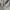 Streetwear Casual Windbreaker Pria gray photo 3