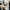 Nike Streetwear Casual Sneakers Pria white black photo 1