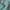 Casual Sweater Pria green photo 4