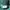 Casual Sweater Pria green photo 5