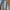 Calvin Klein Streetwear Casual Jeans Pria multicolor photo 2