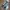Calvin Klein Streetwear Casual Jeans Pria multicolor photo 1