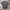 ZARA Casual T-shirt Pria gray photo 1