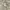 Carhartt Streetwear Windbreaker Pria cream photo 6