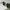 Vintage Sunglass Pria white green photo 7