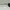 Vintage Sunglass Pria white green photo 6