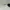 Vintage Sunglass Pria white photo 6