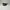 Vintage Sunglass Pria black photo 1