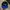 Y2K Hat Pria Black Blue