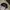Y2K Hat Pria black blue photo 4