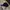 Y2K Hat Pria black blue photo 3