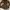Made in USA Casual Sweatshirt Wanita brown photo 1