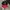 Streetwear Hat Pria red black photo 1
