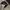 PING Vintage Y2K Hat Pria black photo 3