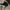 PING Vintage Y2K Hat Pria black photo 2