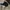 PING Vintage Y2K Hat Pria Black