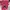 PING Grunge Casual Wanita pink photo 1