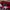Made in USA Vintage Streetwear Hat Pria red photo 6
