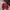 Made In USA Vintage Streetwear Hat Pria Red