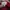 Made in USA Vintage Streetwear Hat Pria red photo 5