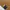 Carhartt Streetwear Puffer jacket Pria brown photo 6