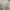 Levi's Minimalist Casual Formal shirt Pria white photo 3