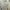 Levi's Minimalist Casual Formal shirt Pria white photo 2