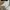 Levi's Minimalist Casual Formal shirt Pria white photo 1