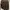 Levi's Luxury Pakaian Nasional Formal shirt Pria brown photo 2