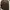 Levi's Luxury Pakaian Nasional Formal Shirt Pria Brown