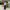 Streetwear Minimalist Formal pants Pria black photo 3