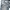 Goth Emo Short Wanita white navy photo 6