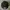 GAP Vintage Y2K Hat Pria black photo 2