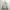 Japanese brand Vintage Casual Harrington jacket Pria khaki photo 2