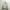 Japanese Brand Vintage Casual Harrington Jacket Pria Khaki