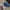 Streetwear Y2K Hat Pria multicolor photo 2